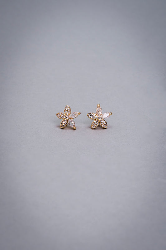 Brinco Havanna Ouro 18k