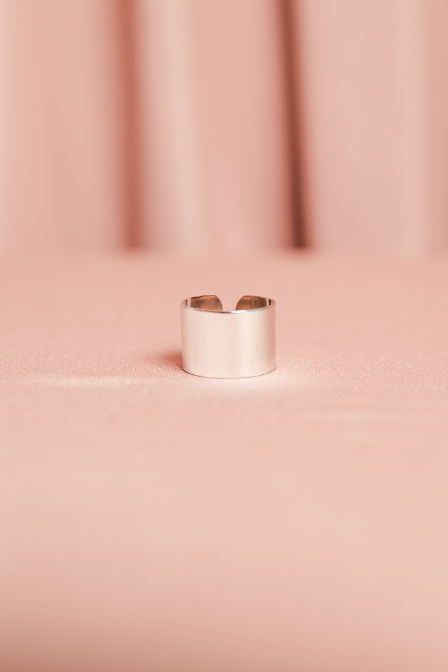 Anel Gabriela G Prata