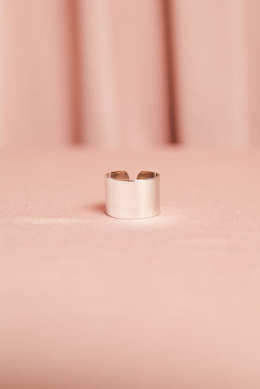 Anel Gabriela G Prata