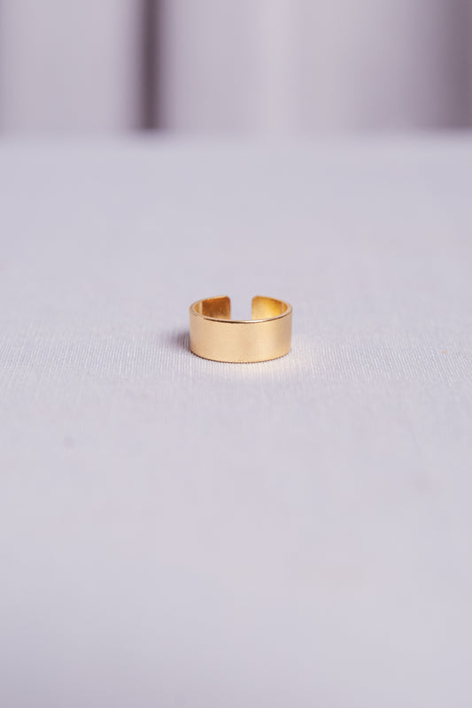 Anel Gabriela P Ouro